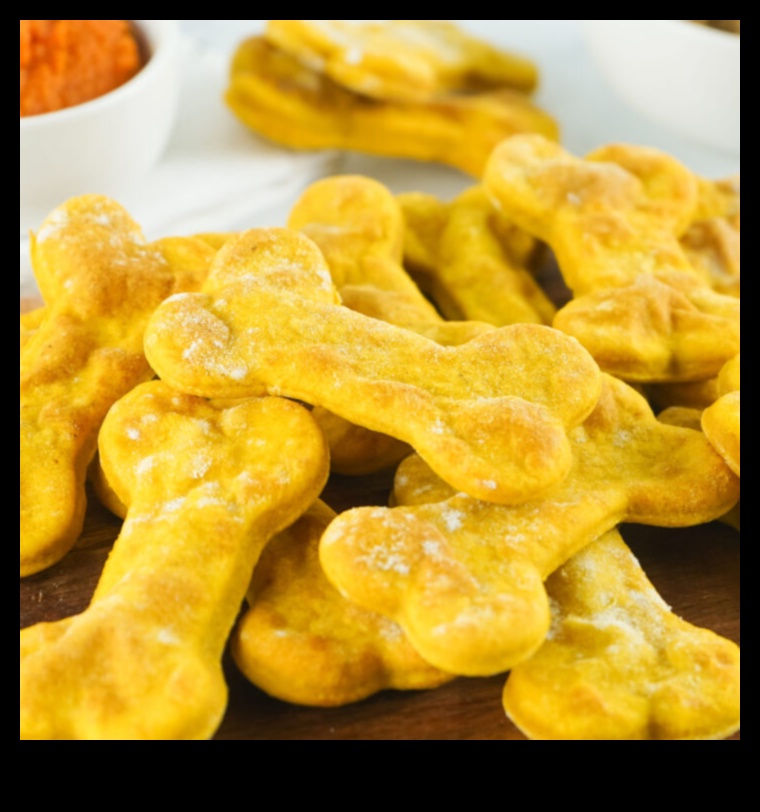 מלאכת עשה בעצמך לאוהבי חיות מחמד: יצירת פינוקים וצעצועים בעבודת יד