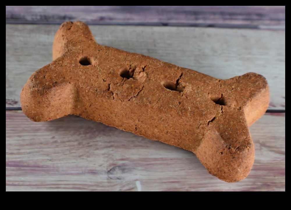 מלאכת עשה בעצמך לאוהבי חיות מחמד: יצירת פינוקים וצעצועים בעבודת יד