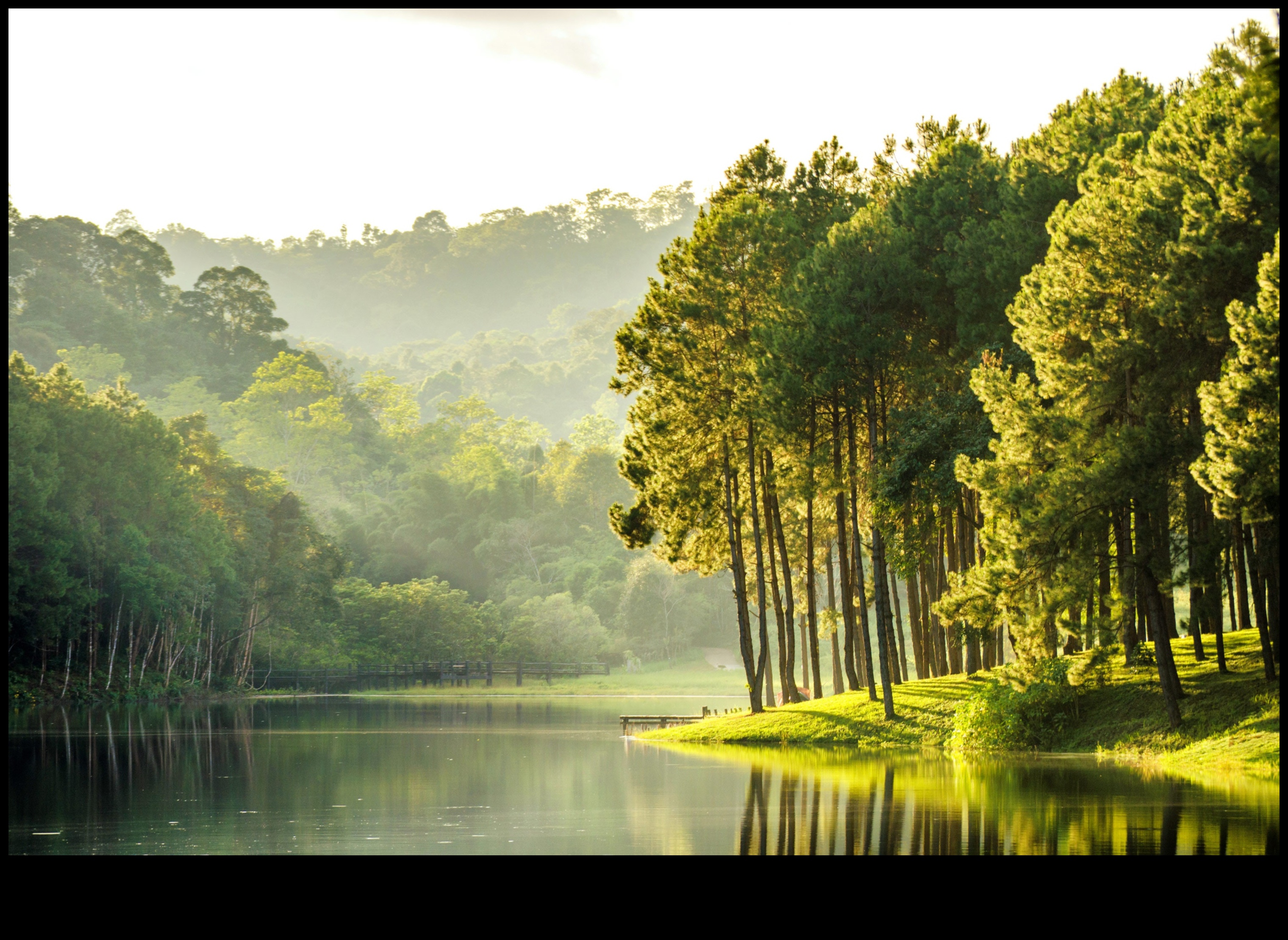 ניווט בטבע: הרפתקאות ידידותיות לסביבה עם טיפים לטיולים ירוקים