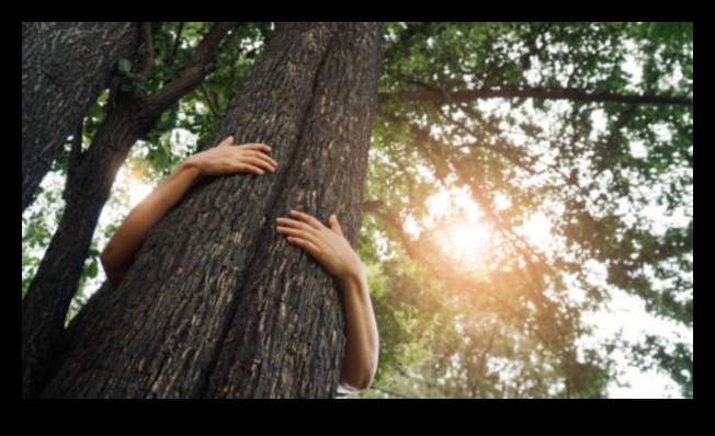 ניווט בטבע: הרפתקאות ידידותיות לסביבה עם טיפים לטיולים ירוקים