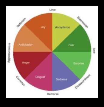 גוונים רבים של רגש 3 פריזמה של רגש: העברת רגשות באמצעות אמנות צבעונית