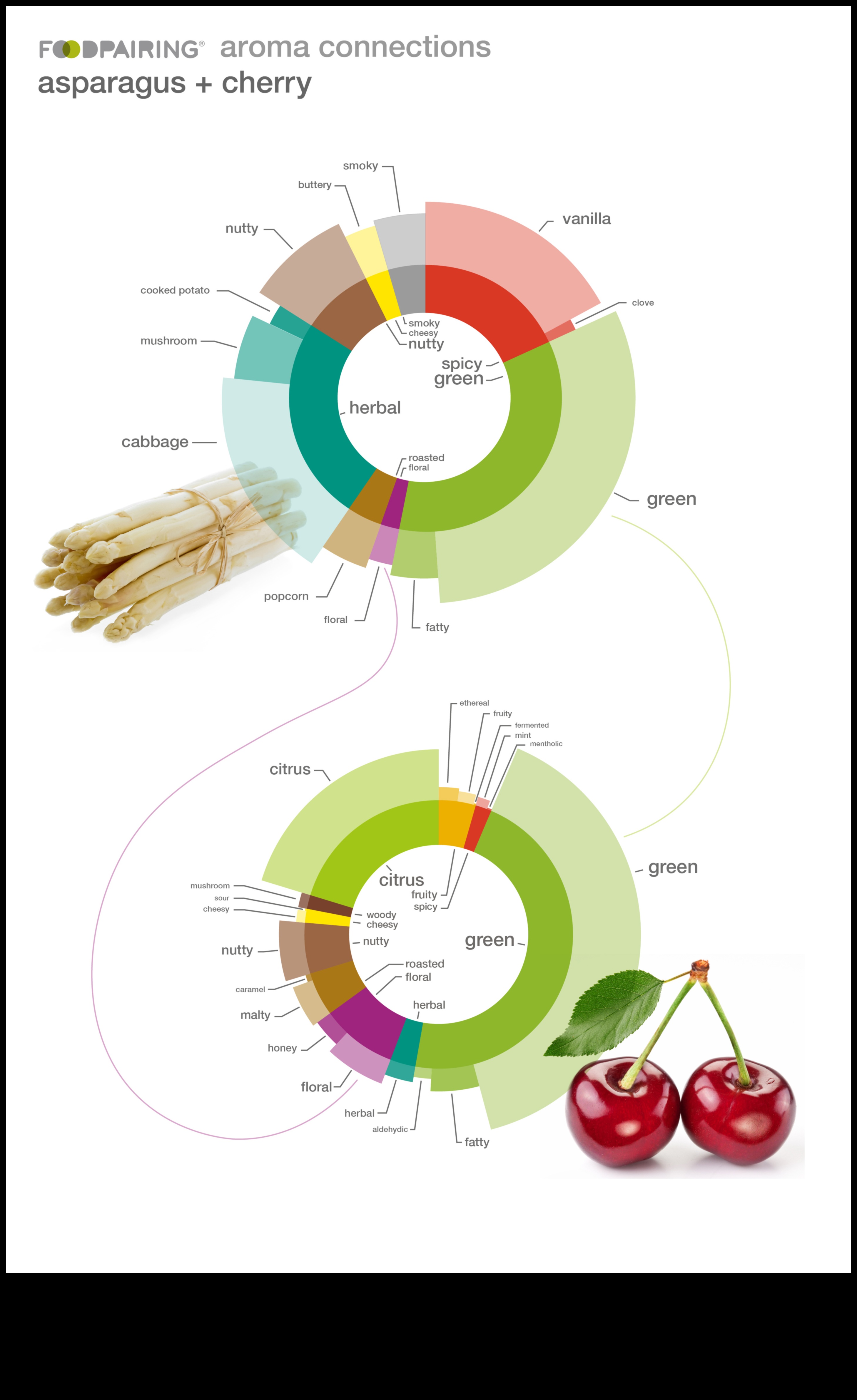 פרופילי מדע הטעם 2 יצירה קולינרית עם עשבי תיבול קולינריים: שיפור פרופילי טעם