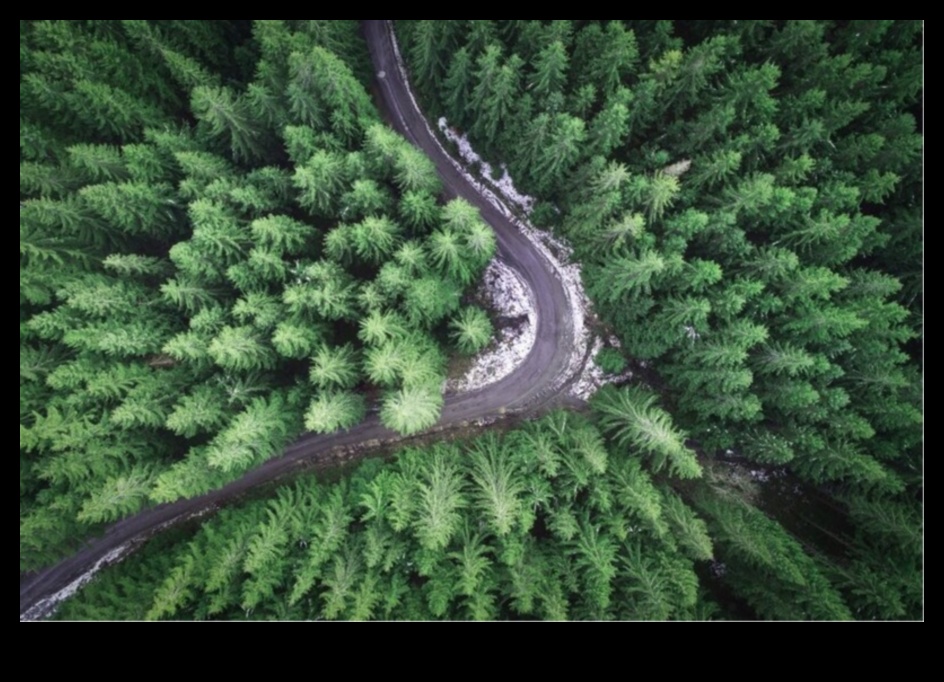 צילום מזל צילום מזל