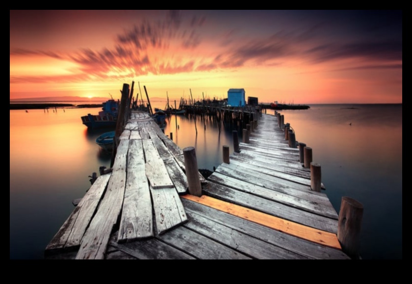 הצלחה בתצלום: טיפים חיוניים לתמונות שובות לב