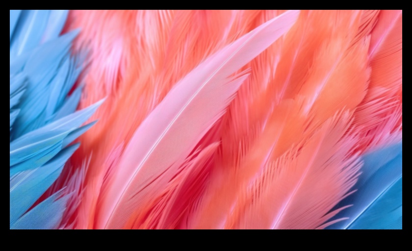 תיאורי פסטל מציגים סגנונות צילום רכים, שלווים ועדינים 3 תיאורי פסטל: מצבי רוח רכים ושלווים עם סגנונות צילום עדינים