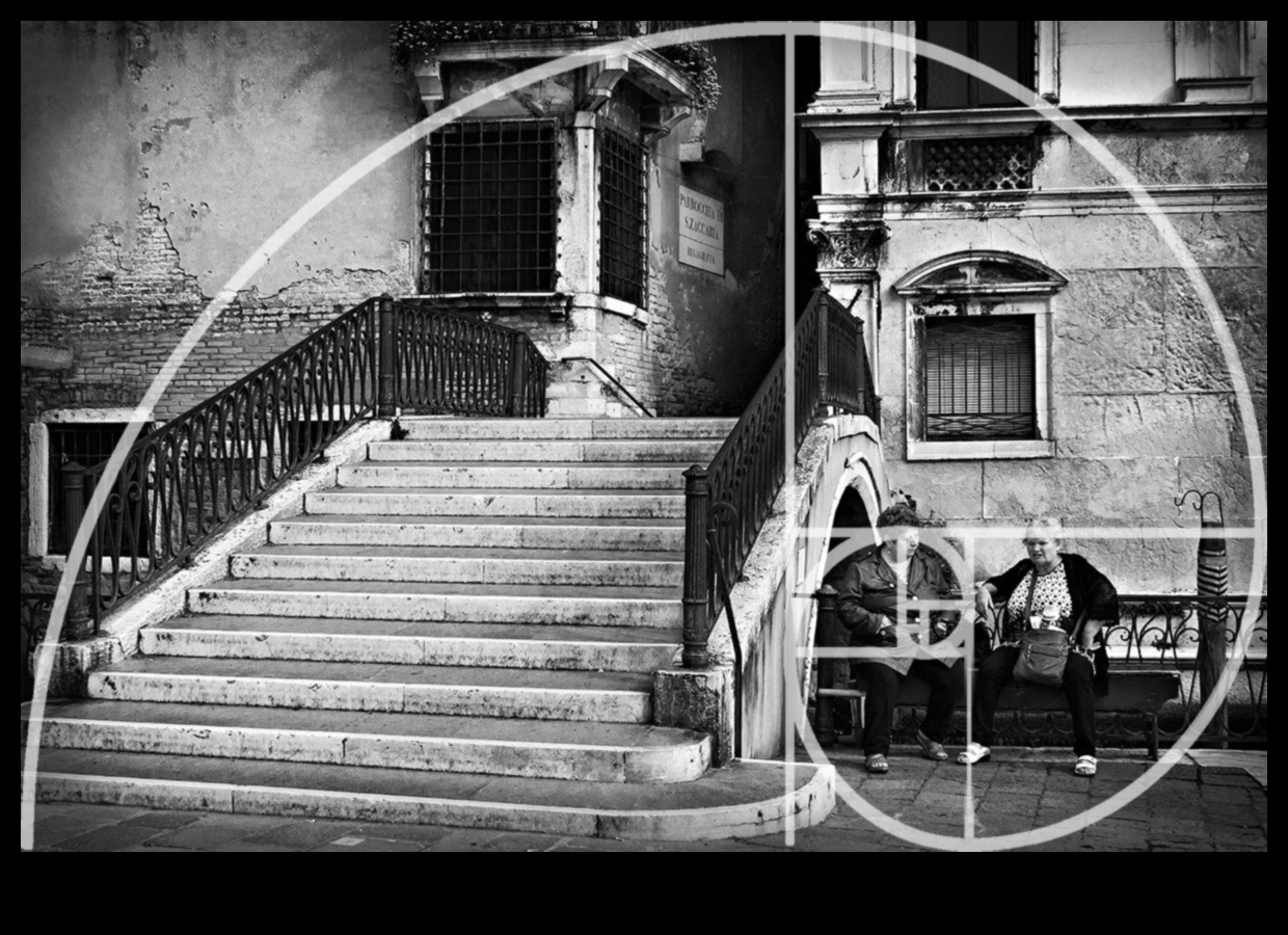 הרכב צילום עשה זאת בעצמך 6 הרכב צילום עשה זאת בעצמך: שלטון שלישי ומעבר