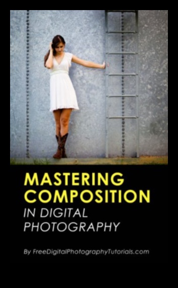 הרכב צילום עשה זאת בעצמך 5 הרכב צילום עשה זאת בעצמך: שלטון שלישי ומעבר