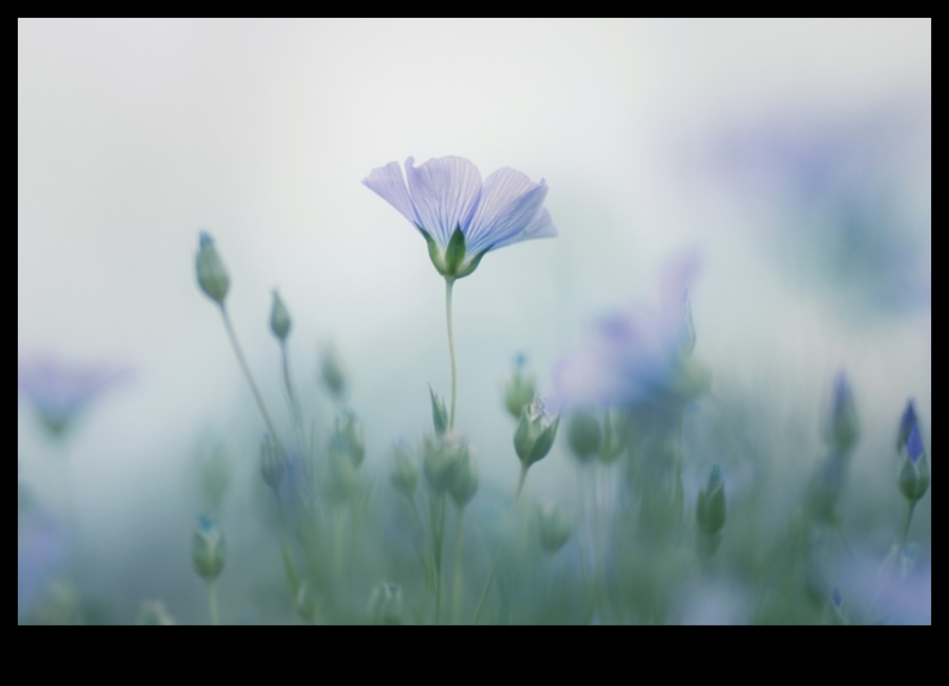 פרספקטיבות פסטל גוונים רכים בסגנונות צילום חלומיים 4 פרספקטיבות פסטל: גוונים רכים בסגנונות צילום חלומיים