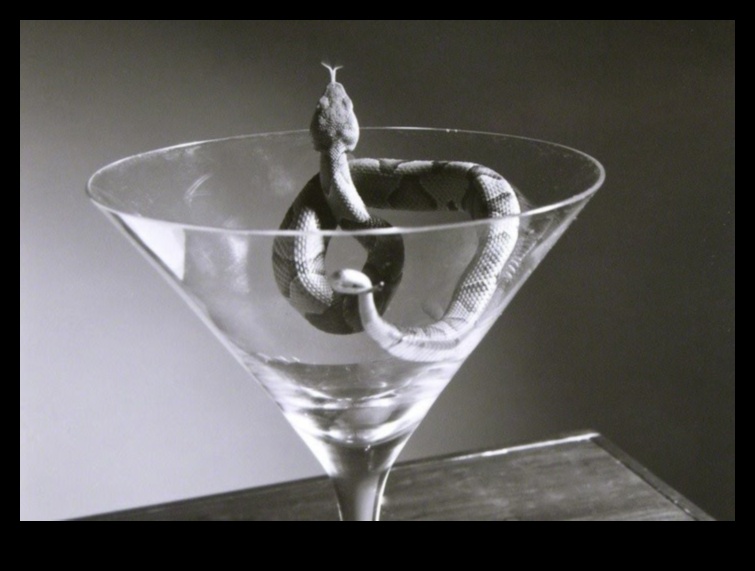 חפצים קפואים בזמן: הקסם של טבע דומם