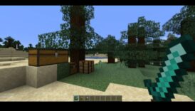 Pixel Perfection: הפיכת צילומים רגילים ליצירות מופת