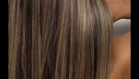 Precision and Panache מידע לשליטה באמנות עיצוב שיער יסוד 6 דיוק ופנאש: שליטה באמנות של עיצוב שיער חלק