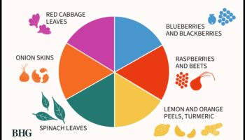 יצירות צבעוניות: עשה זאת בעצמך בגדים ואביזרים עם צבע בד