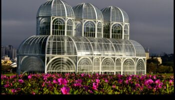 ארבורטום אדריכלי: מערך מגוון של ציוני דרך