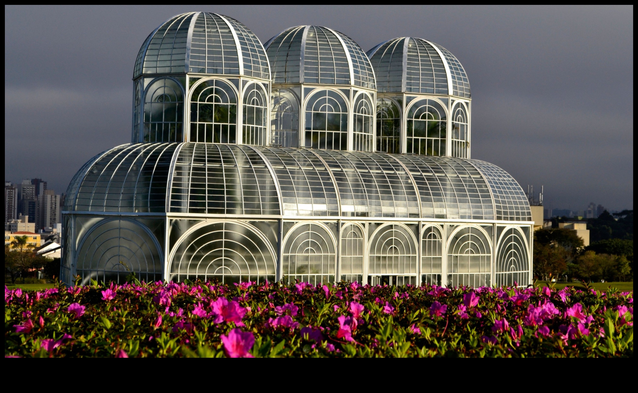 ארבורטום אדריכלי: מערך מגוון של ציוני דרך