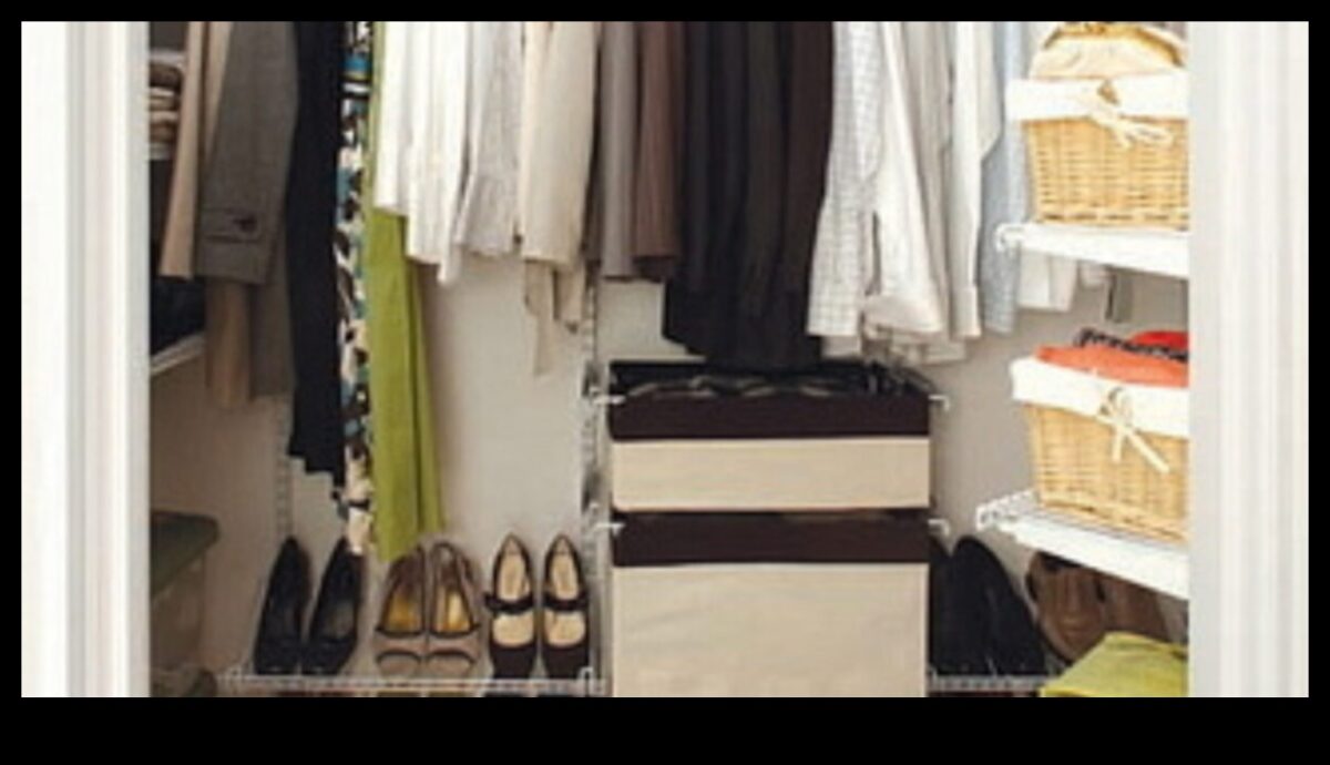 שדרוגי לבוש עשה זאת בעצמך: הפוך את היסודות למרכיבי אופנה