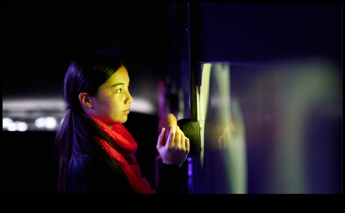 מעבר לתפיסה: חשיפת הבלתי נראה דרך צילומי מאקרו