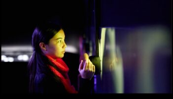 מעבר לתפיסה: חשיפת הבלתי נראה דרך צילומי מאקרו