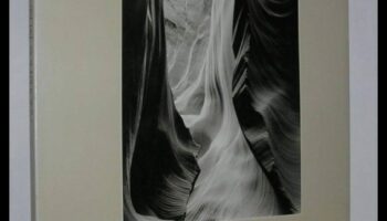 סימפוניה חזותית: פתיחת יצירתיות באמצעות חינוך מקיף לצילום