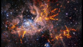 נווד ערפילית: שוטטות בנוף הקוסמי בחיפוש אחר כוכבי לכת