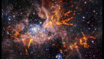 נווד ערפילית: שוטטות בנוף הקוסמי בחיפוש אחר כוכבי לכת