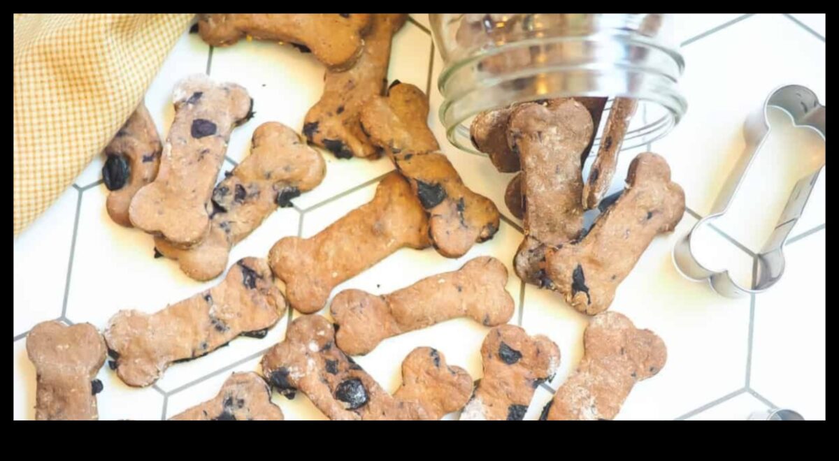 מלאכת עשה בעצמך לאוהבי חיות מחמד: יצירת פינוקים וצעצועים בעבודת יד